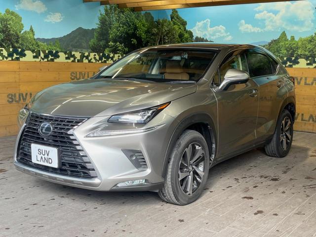 ＮＸ ＮＸ３００　Ｉパッケージ　禁煙車　純正１０．３インチメーカーナビ　全周囲カメラ　プリクラッシュセーフティ　レーダークルーズ　ブラインドスポットモニター　パワーバックドア　シートヒーター　三眼ＬＥＤヘッドランプ　シートヒーター（50枚目）