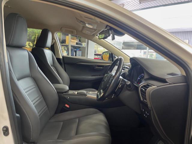 ＮＸ ＮＸ３００ｈ　スパイス＆シック　１０．３型ディスプレイオーディオ　サイド・バックカメラ　レーダークルーズ　禁煙車　シートベンチレーション　パワーバックドア　ブラインドスポットモニター　パワーシート　角型三眼ＬＥＤヘッド　ＥＴＣ（9枚目）