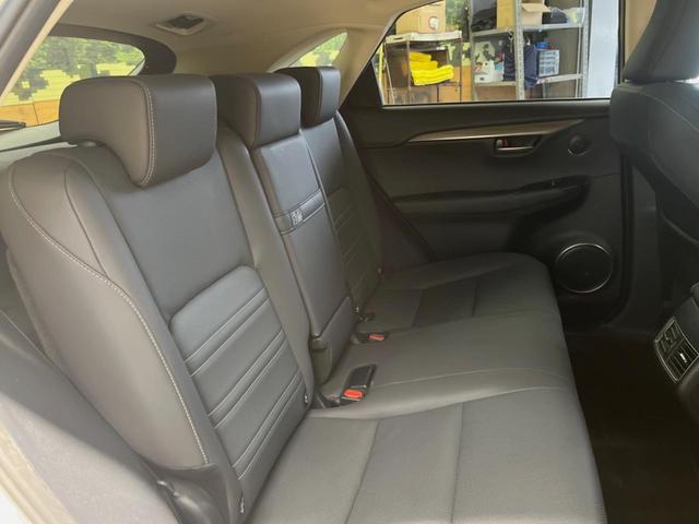 ＮＸ ＮＸ３００ｈ　スパイス＆シック　１０．３型ディスプレイオーディオ　サイド・バックカメラ　レーダークルーズ　禁煙車　シートベンチレーション　パワーバックドア　ブラインドスポットモニター　パワーシート　角型三眼ＬＥＤヘッド　ＥＴＣ（10枚目）