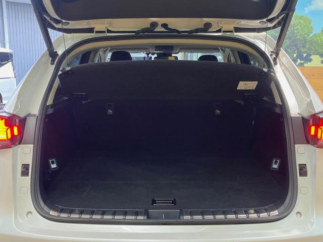 ＮＸ ＮＸ３００ｈ　スパイス＆シック　１０．３型ディスプレイオーディオ　サイド・バックカメラ　レーダークルーズ　禁煙車　シートベンチレーション　パワーバックドア　ブラインドスポットモニター　パワーシート　角型三眼ＬＥＤヘッド　ＥＴＣ（11枚目）