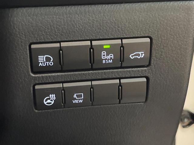 ＮＸ ＮＸ３００ｈ　スパイス＆シック　１０．３型ディスプレイオーディオ　サイド・バックカメラ　レーダークルーズ　禁煙車　シートベンチレーション　パワーバックドア　ブラインドスポットモニター　パワーシート　角型三眼ＬＥＤヘッド　ＥＴＣ（36枚目）