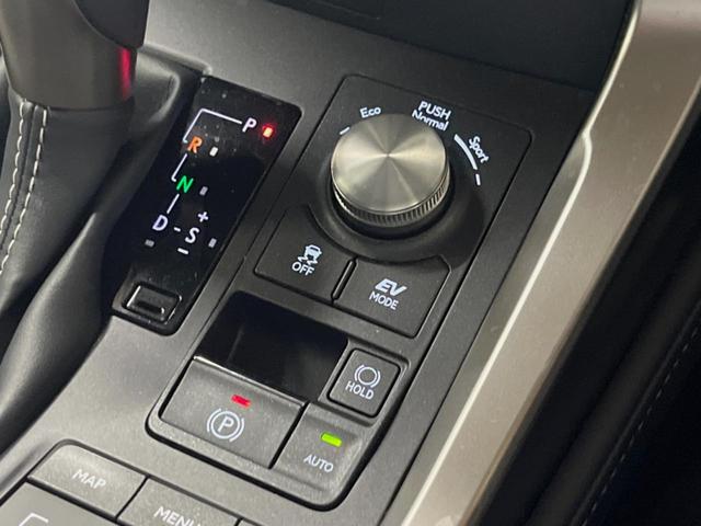 ＮＸ ＮＸ３００ｈ　スパイス＆シック　１０．３型ディスプレイオーディオ　サイド・バックカメラ　レーダークルーズ　禁煙車　シートベンチレーション　パワーバックドア　ブラインドスポットモニター　パワーシート　角型三眼ＬＥＤヘッド　ＥＴＣ（47枚目）