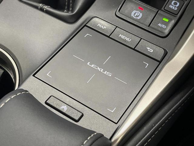 ＮＸ ＮＸ３００ｈ　スパイス＆シック　１０．３型ディスプレイオーディオ　サイド・バックカメラ　レーダークルーズ　禁煙車　シートベンチレーション　パワーバックドア　ブラインドスポットモニター　パワーシート　角型三眼ＬＥＤヘッド　ＥＴＣ（48枚目）