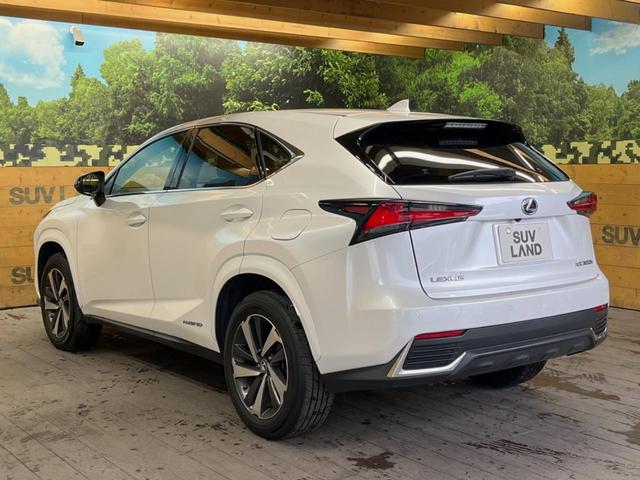 ＮＸ ＮＸ３００ｈ　スパイス＆シック　１０．３型ディスプレイオーディオ　サイド・バックカメラ　レーダークルーズ　禁煙車　シートベンチレーション　パワーバックドア　ブラインドスポットモニター　パワーシート　角型三眼ＬＥＤヘッド　ＥＴＣ（55枚目）