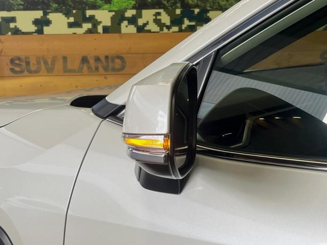 ＲＡＶ４ ハイブリッドＧ　パノラマサンルーフ　９インチディスプレイオーディオ　全周囲カメラ　セーフティセンス　レーダークルーズ　ブラインドスポットモニター　パワーバックドア　ＬＥＤヘッド　純正１８インチアルミ　スマートキー（23枚目）