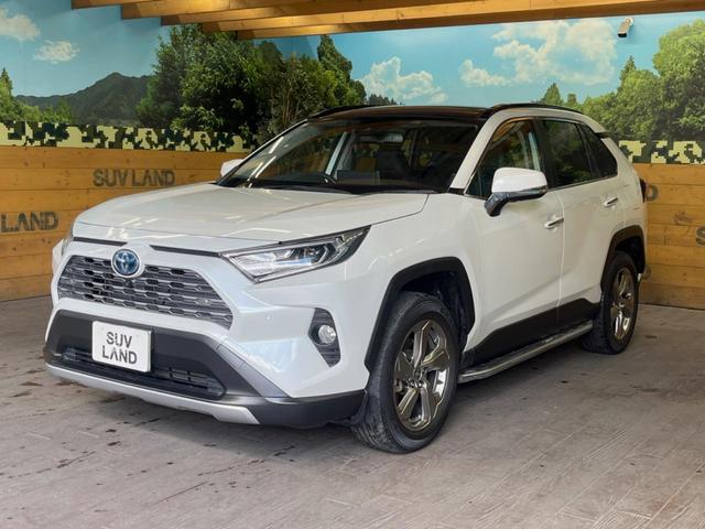 ＲＡＶ４ ハイブリッドＧ　パノラマサンルーフ　９インチディスプレイオーディオ　全周囲カメラ　セーフティセンス　レーダークルーズ　ブラインドスポットモニター　パワーバックドア　ＬＥＤヘッド　純正１８インチアルミ　スマートキー（49枚目）
