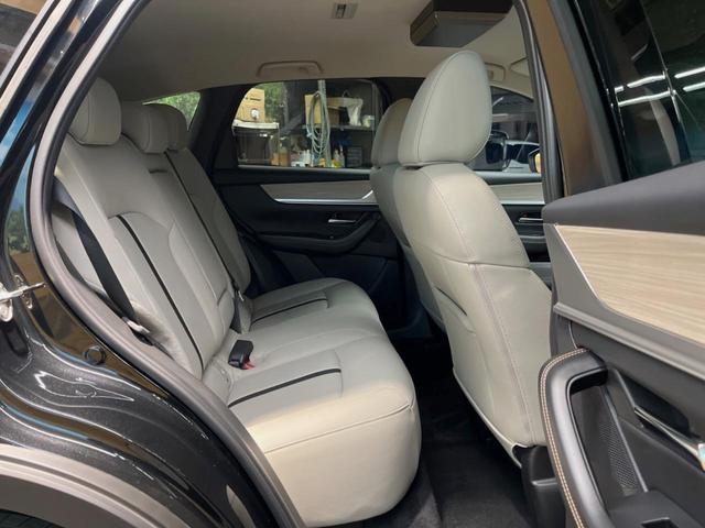 �㕔���Ȃ��C�ɂȂ�悤�ȃL�Y�E�����ւ��蓙�A�傫�ȃ_���[�W�͂Ȃ��A�ǍD�ȏ�Ԃł��B