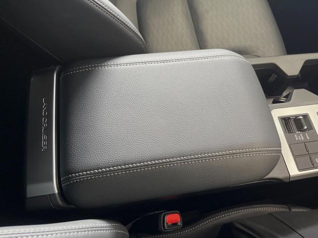 ランドクルーザー２５０ ＶＸ　サンルーフ　１２．３型ディスプレイオーディオ　全周囲カメラ　レーダークルーズ　シートベンチレーション　セーフティセンス　ブラインドスポットモニター　パワーバックドア　シートメモリー　ＥＴＣ（52枚目）