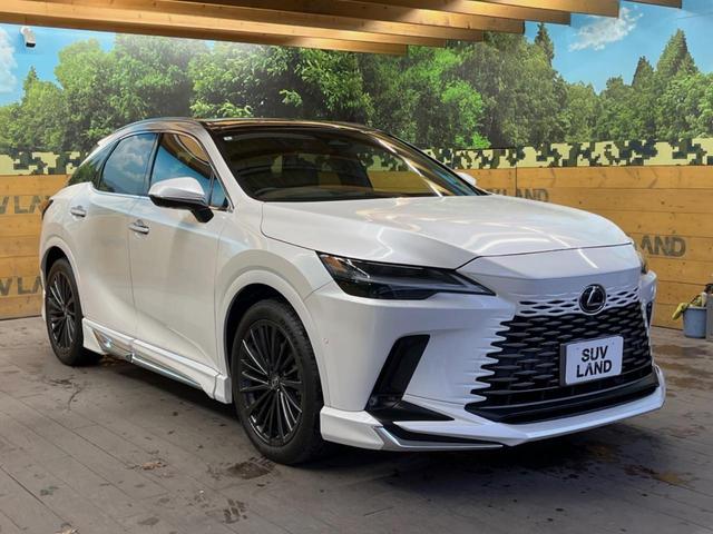 �������x�̃K���X�疌�ŝ����͂������A�㎿�ȃc���E����������B���O����_���J�����؂Ȉ��Ԃ�ی삵�A�F�����E�򉻂�h�~�B�u�e�X�v���b�V���R�[�g�v�A�u�e�v���~�b�T�R�[�g�v���炨�I�т��������܂��B