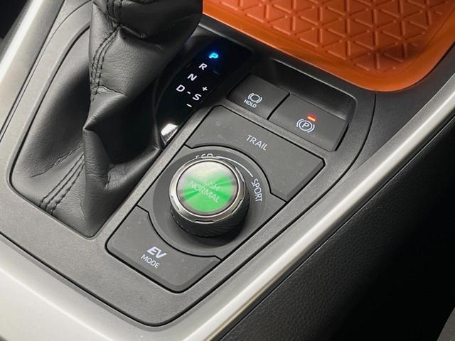 ＲＡＶ４ ハイブリッドアドベンチャー　４ＷＤ　純正１０．５インチディスプレイオーディオ　バックカメラ　衝突被害軽減システム　レーダークルーズ　禁煙車　電動リアゲート　前席シートエアコン　コーナーセンサー　ＬＥＤヘッド　ルーフレール　ＥＴＣ（31枚目）