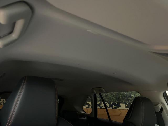 ＲＡＶ４ ハイブリッドアドベンチャー　４ＷＤ　純正１０．５インチディスプレイオーディオ　バックカメラ　衝突被害軽減システム　レーダークルーズ　禁煙車　電動リアゲート　前席シートエアコン　コーナーセンサー　ＬＥＤヘッド　ルーフレール　ＥＴＣ（36枚目）