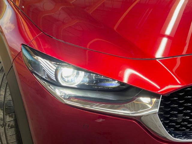 �y�k�d�c�w�b�h���C�g�z���V����ԑ��s�����ǍD�Ȏ��E���m�ۂ����S���ĉ^�]�ł��鍂�P�x�k�d�c�w�b�h���C�g�𑕔��I�_�����x�������A����d�͂��}�����Ă��܂��B