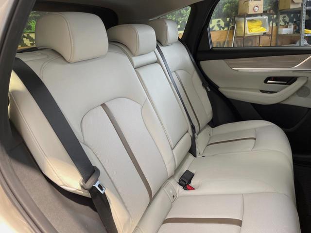 �㕔���Ȃ��C�ɂȂ�悤�ȃL�Y�E�����ւ��蓙�A�傫�ȃ_���[�W�͂Ȃ��A�ǍD�ȏ�Ԃł��B