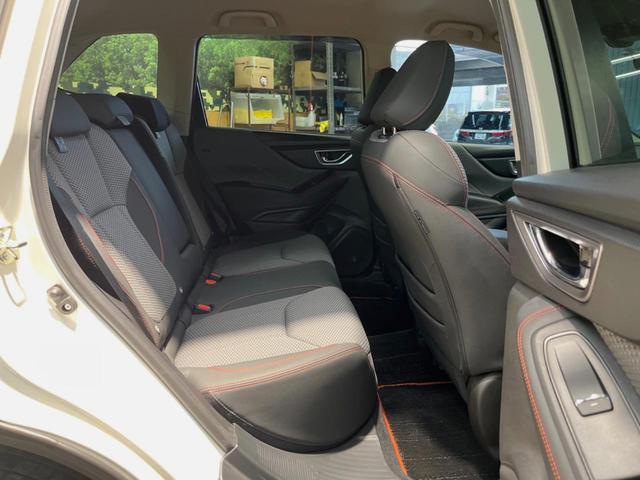 �㕔���Ȃ��C�ɂȂ�悤�ȃL�Y�E�����ւ��蓙�A�傫�ȃ_���[�W�͂Ȃ��A�ǍD�ȏ�Ԃł��B