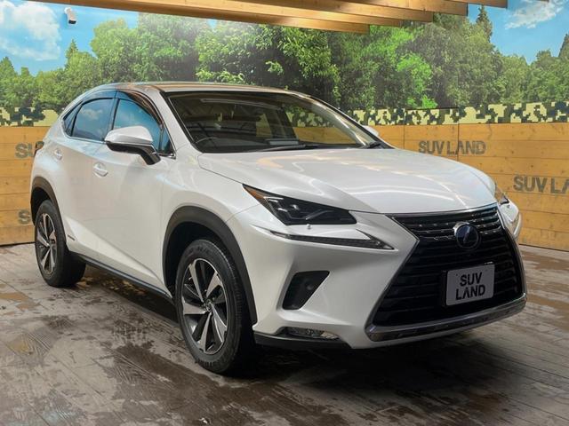 ＮＸ ＮＸ３００ｈ　バージョンＬ　１０．３インチメーカーナビ　全周囲カメラ　プリクラッシュセーフティ　レーダークルーズ　全席パワーシート　ハンズフリーパワーバックドア　黒革シート　シートベンチレーション　三眼ＬＥＤヘッド　スマートキー（16枚目）