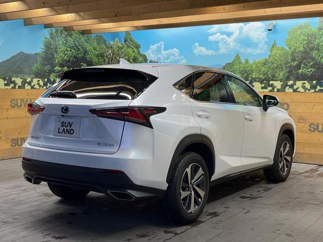 ���S���̃l�N�X�e�[�W���炨���񂹂��\���I�����̓X�܂ɓW�����Ă���N���}���C�ɂȂ�ꍇ���A�Ŋ��̓X�܂ł��������������Ƃ��\�ł��I���񎄂����ɗv�]�������������������I���ʓr��p