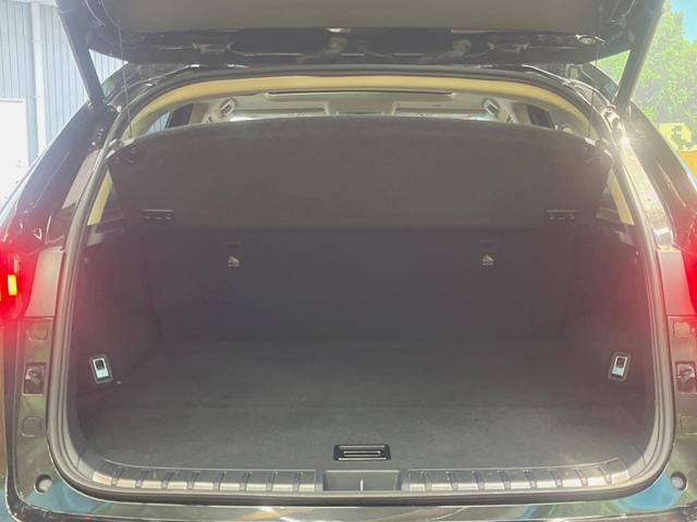 ＮＸ ＮＸ３００　バージョンＬ　サンルーフ　１０．３インチメーカーナビ　サイド・バックカメラ　プリクラッシュセーフティ　レーダークルーズ　黒革シート　シートベンチレーション　三眼ＬＥＤヘッド　１８インチオプションアルミ　スマートキー（10枚目）