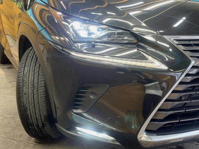 ＮＸ ＮＸ３００　バージョンＬ　サンルーフ　１０．３インチメーカーナビ　サイド・バックカメラ　プリクラッシュセーフティ　レーダークルーズ　黒革シート　シートベンチレーション　三眼ＬＥＤヘッド　１８インチオプションアルミ　スマートキー（12枚目）