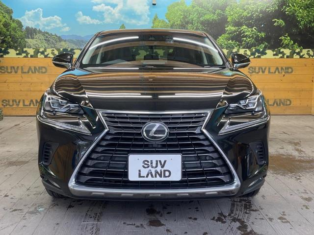 ＮＸ ＮＸ３００　バージョンＬ　サンルーフ　１０．３インチメーカーナビ　サイド・バックカメラ　プリクラッシュセーフティ　レーダークルーズ　黒革シート　シートベンチレーション　三眼ＬＥＤヘッド　１８インチオプションアルミ　スマートキー（14枚目）