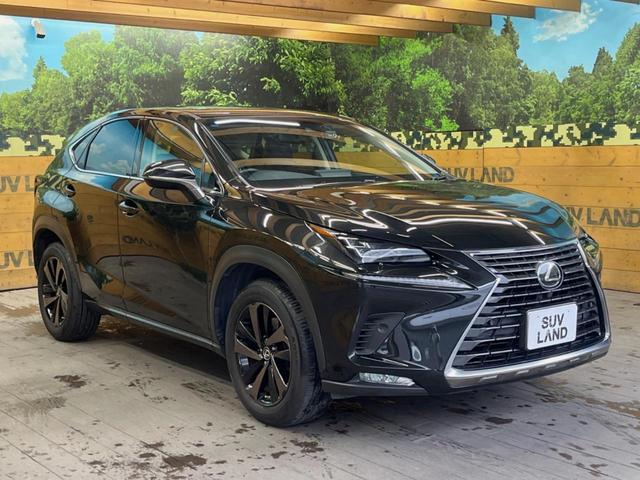 ＮＸ ＮＸ３００　バージョンＬ　サンルーフ　１０．３インチメーカーナビ　サイド・バックカメラ　プリクラッシュセーフティ　レーダークルーズ　黒革シート　シートベンチレーション　三眼ＬＥＤヘッド　１８インチオプションアルミ　スマートキー（16枚目）