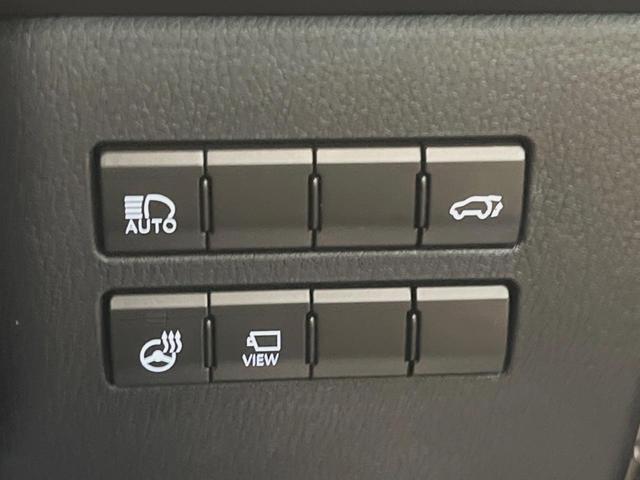 ＮＸ ＮＸ３００　バージョンＬ　サンルーフ　１０．３インチメーカーナビ　サイド・バックカメラ　プリクラッシュセーフティ　レーダークルーズ　黒革シート　シートベンチレーション　三眼ＬＥＤヘッド　１８インチオプションアルミ　スマートキー（34枚目）