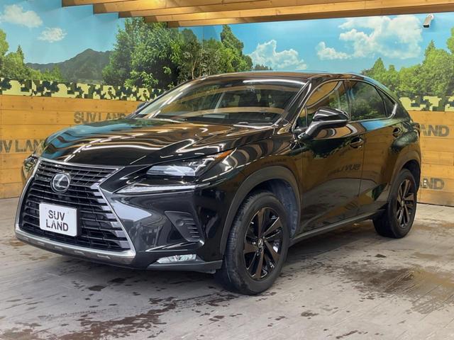 ＮＸ ＮＸ３００　バージョンＬ　サンルーフ　１０．３インチメーカーナビ　サイド・バックカメラ　プリクラッシュセーフティ　レーダークルーズ　黒革シート　シートベンチレーション　三眼ＬＥＤヘッド　１８インチオプションアルミ　スマートキー（50枚目）