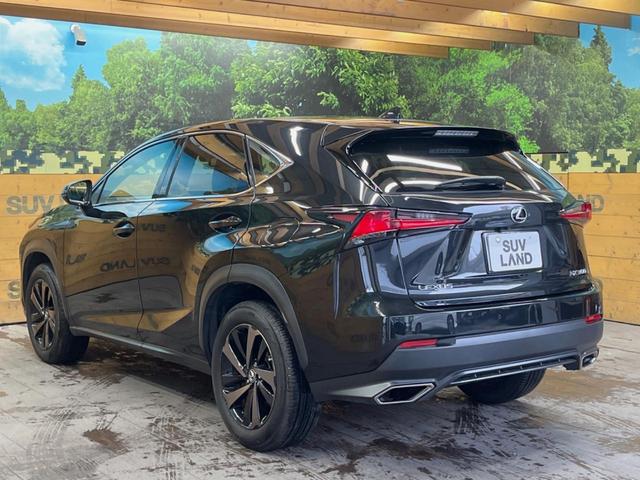 ＮＸ ＮＸ３００　バージョンＬ　サンルーフ　１０．３インチメーカーナビ　サイド・バックカメラ　プリクラッシュセーフティ　レーダークルーズ　黒革シート　シートベンチレーション　三眼ＬＥＤヘッド　１８インチオプションアルミ　スマートキー（54枚目）