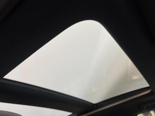 ハリアーハイブリッド Ｚ　レザーパッケージ　調光パノラマルーフ　１２．３インチメーカーナビ　全周囲カメラ　セーフティセンス　レーダークルーズ　ブラインドスポットモニター　黒革シート　ハンズフリーパワーバックドア　シートベンチレーション　ＥＴＣ（32枚目）