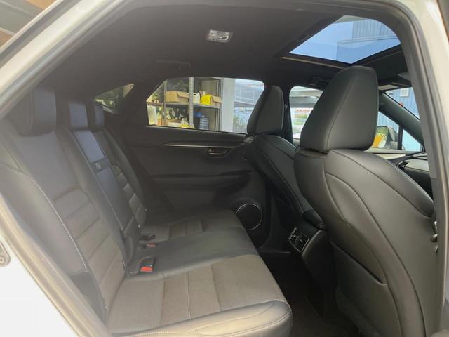 �㕔���Ȃ��C�ɂȂ�悤�ȃL�Y�E�����ւ��蓙�A�傫�ȃ_���[�W�͂Ȃ��A�ǍD�ȏ�Ԃł��B