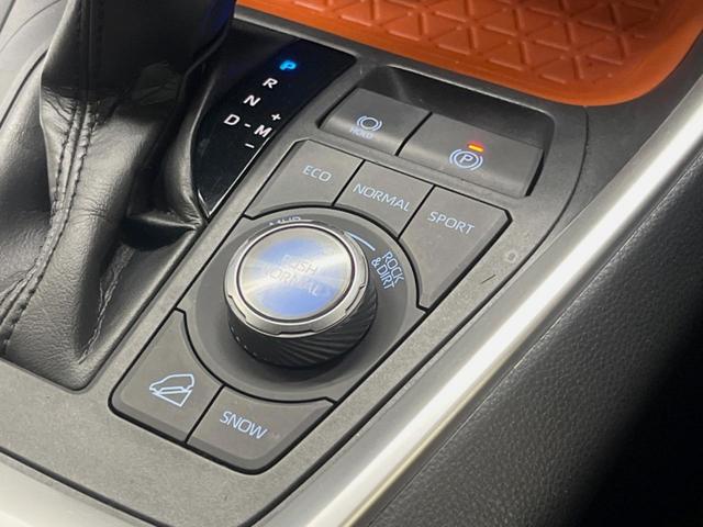ＲＡＶ４ アドベンチャー　ＢＩＧ－Ｘ９インチナビ　セーフティセンス　ブラインドスポットモニター　バックカメラ　合皮シート　パワーシート　純正１９インチアルミ　ＬＥＤヘッド　デュアルオートエアコン　ダウンヒルアシスト　ＥＴＣ（44枚目）