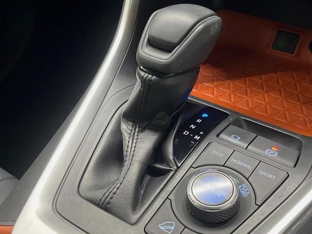 ＲＡＶ４ アドベンチャー　ＢＩＧ－Ｘ９インチナビ　セーフティセンス　ブラインドスポットモニター　バックカメラ　合皮シート　パワーシート　純正１９インチアルミ　ＬＥＤヘッド　デュアルオートエアコン　ダウンヒルアシスト　ＥＴＣ（45枚目）