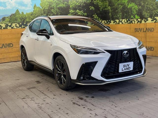 NX NX350h Fスポーツ 14インチディスプレイオーディオ 全周囲カメラ マークレビンソン プリクラッシュセーフティ レーダークルーズ デジタルインナーミラー ブラインドスポットモニター 赤革シート LEDヘッド パワーシート(16枚目)