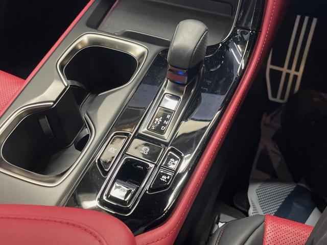 NX NX350h Fスポーツ 14インチディスプレイオーディオ 全周囲カメラ マークレビンソン プリクラッシュセーフティ レーダークルーズ デジタルインナーミラー ブラインドスポットモニター 赤革シート LEDヘッド パワーシート(52枚目)