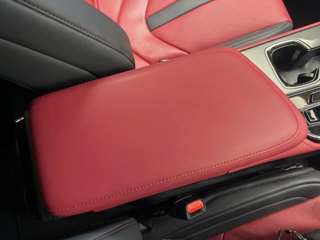 NX NX350h Fスポーツ 14インチディスプレイオーディオ 全周囲カメラ マークレビンソン プリクラッシュセーフティ レーダークルーズ デジタルインナーミラー ブラインドスポットモニター 赤革シート LEDヘッド パワーシート(53枚目)