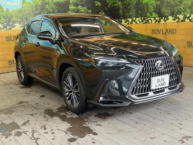 ＮＸ ＮＸ３５０ｈ　バージョンＬ　１４インチディスプレイオーディオ　全周囲カメラ　プリクラッシュセーフティ　レーダークルーズ　ブラインドスポットモニター　茶革シート　デジタルインナーミラー　全席シートヒーター　三眼ＬＥＤヘッド　ＥＴＣ（17枚目）