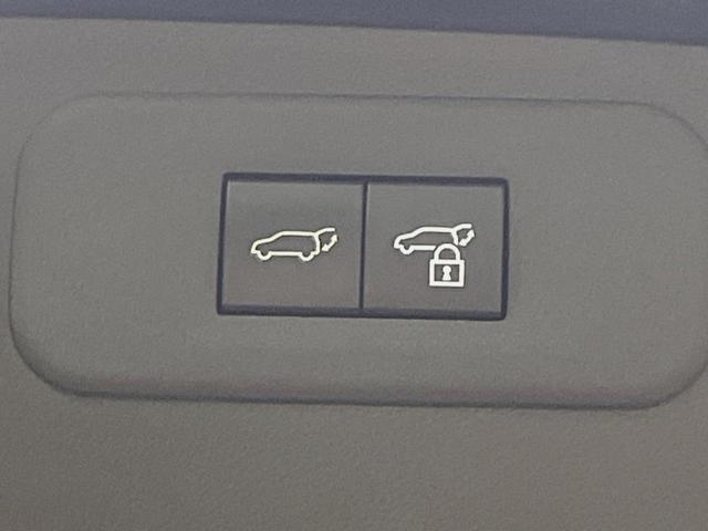 ＮＸ ＮＸ３５０ｈ　バージョンＬ　１４インチディスプレイオーディオ　全周囲カメラ　プリクラッシュセーフティ　レーダークルーズ　ブラインドスポットモニター　茶革シート　デジタルインナーミラー　全席シートヒーター　三眼ＬＥＤヘッド　ＥＴＣ（25枚目）