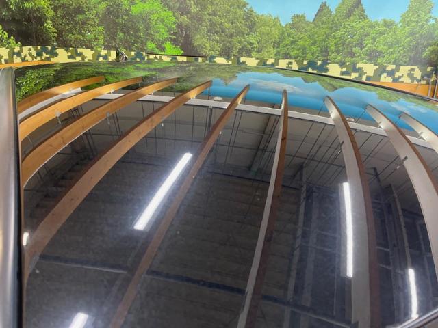 ＮＸ ＮＸ３５０ｈ　バージョンＬ　１４インチディスプレイオーディオ　全周囲カメラ　プリクラッシュセーフティ　レーダークルーズ　ブラインドスポットモニター　茶革シート　デジタルインナーミラー　全席シートヒーター　三眼ＬＥＤヘッド　ＥＴＣ（28枚目）