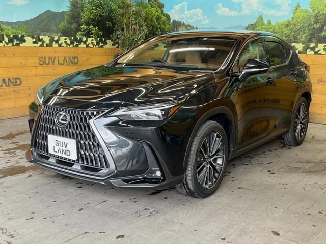 ＮＸ ＮＸ３５０ｈ　バージョンＬ　１４インチディスプレイオーディオ　全周囲カメラ　プリクラッシュセーフティ　レーダークルーズ　ブラインドスポットモニター　茶革シート　デジタルインナーミラー　全席シートヒーター　三眼ＬＥＤヘッド　ＥＴＣ（48枚目）