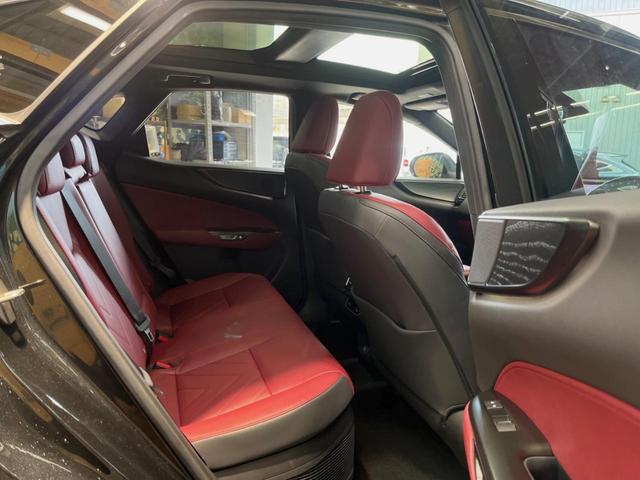 �㕔���Ȃ��C�ɂȂ�悤�ȃL�Y�E�����ւ��蓙�A�傫�ȃ_���[�W�͂Ȃ��A�ǍD�ȏ�Ԃł��B