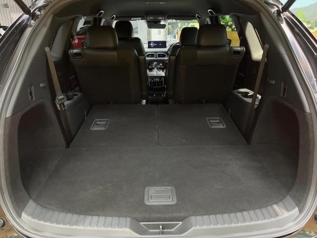 ��Ȃ��i�[����ƁA���ꂾ���̍L�����I�V�[���ɍ��킹���V�[�g�A�����W�ŁA�傫�ȉו����ςނ��Ƃ��o���܂���