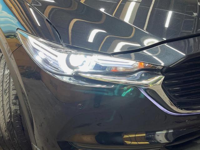 �y�k�d�c�w�b�h���C�g�z���V����ԑ��s�����ǍD�Ȏ��E���m�ۂ����S���ĉ^�]�ł��鍂�P�x�k�d�c�w�b�h���C�g�𑕔��I�_�����x�������A����d�͂��}�����Ă��܂��B