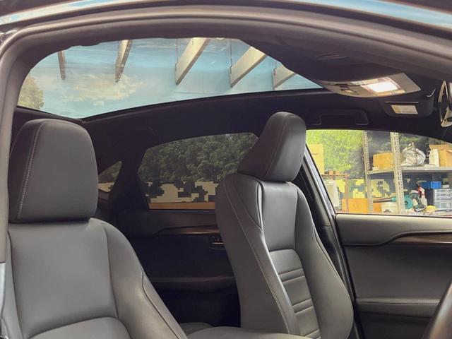 NX NX300ブロンズエディション パノラマルーフ 10.3インチメーカーナビ 全周囲カメラ プリクラッシュセーフティ レーダークルーズ ブラインドスポットモニター メモリー機能付きパワーシート パワーバックドア 三眼LEDヘッド(3枚目)