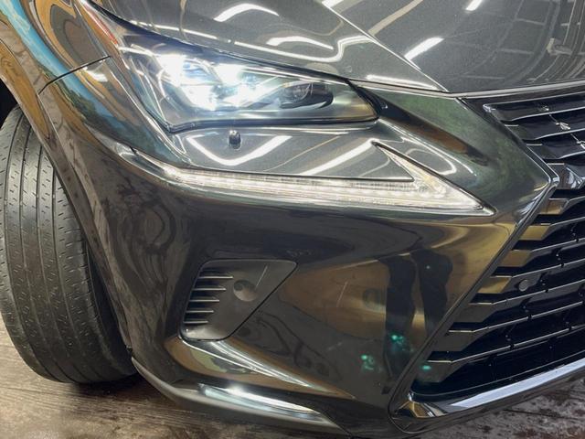 NX NX300ブロンズエディション パノラマルーフ 10.3インチメーカーナビ 全周囲カメラ プリクラッシュセーフティ レーダークルーズ ブラインドスポットモニター メモリー機能付きパワーシート パワーバックドア 三眼LEDヘッド(12枚目)