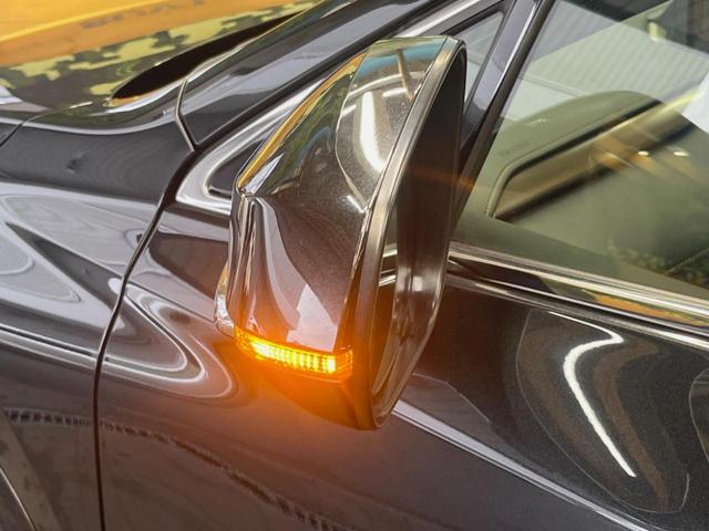 NX NX300ブロンズエディション パノラマルーフ 10.3インチメーカーナビ 全周囲カメラ プリクラッシュセーフティ レーダークルーズ ブラインドスポットモニター メモリー機能付きパワーシート パワーバックドア 三眼LEDヘッド(23枚目)