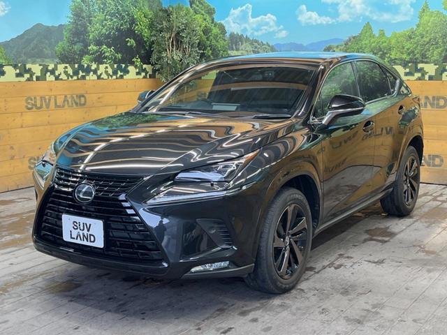 NX NX300ブロンズエディション パノラマルーフ 10.3インチメーカーナビ 全周囲カメラ プリクラッシュセーフティ レーダークルーズ ブラインドスポットモニター メモリー機能付きパワーシート パワーバックドア 三眼LEDヘッド(57枚目)