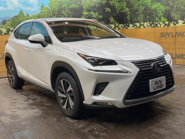 �������x�̃K���X�疌�ŝ����͂������A�㎿�ȃc���E����������B���O����_���J�����؂Ȉ��Ԃ�ی삵�A�F�����E�򉻂�h�~�B�u�e�X�v���b�V���R�[�g�v�A�u�e�v���~�b�T�R�[�g�v���炨�I�т��������܂��B