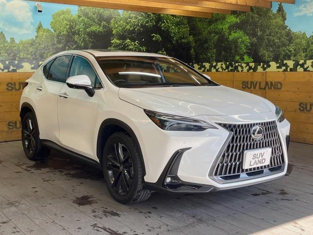 ＮＸ ＮＸ３５０ｈ　バージョンＬ　サンルーフ　１４型ディスプレイオーディオ　全周囲カメラ　プリクラッシュセーフティ　レーダークルーズ　茶革シート　デジタルインナーミラー　純正２０インチアルミ　シートベンチレーション　三眼ＬＥＤヘッド（16枚目）