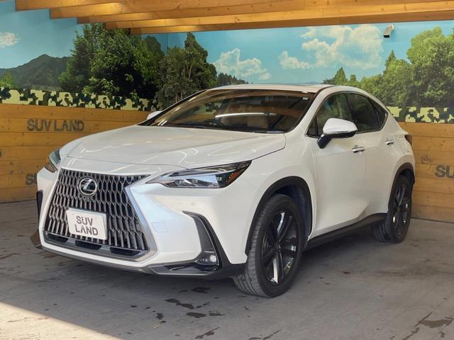 ＮＸ ＮＸ３５０ｈ　バージョンＬ　サンルーフ　１４型ディスプレイオーディオ　全周囲カメラ　プリクラッシュセーフティ　レーダークルーズ　茶革シート　デジタルインナーミラー　純正２０インチアルミ　シートベンチレーション　三眼ＬＥＤヘッド（49枚目）