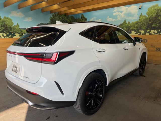 ＮＸ ＮＸ３５０ｈ　Ｆスポーツ　禁煙車　サンルーフ　純正１４インチディスプレイオーディオ　全周囲カメラ　プリクラッシュセーフティ　レーダークルーズ　メモリー機能付きパワーシート　ＡＣ１００Ｖ　パワーバックドア　前席シートエアコン（17枚目）