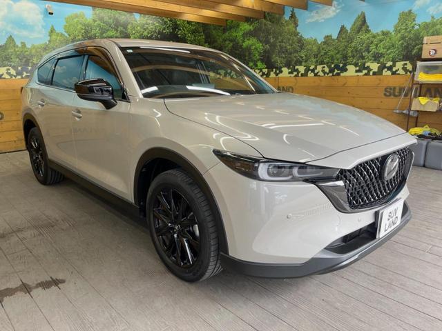 CX-8 25S ブラックトーンエディション 10.25インチマツダコネクトナビ 全周囲カメラ メモリー機能付きパワーシート パワーバックドア ハーフレザーシート シートヒーター 純正19インチアルミ オートブレーキホールド Bluetooth(17枚目)